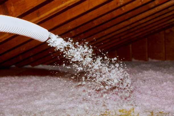 Best Types of Insulation in Brogden, NC