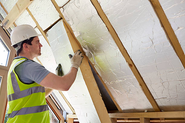 Best Insulation Installation Services in Brogden, NC